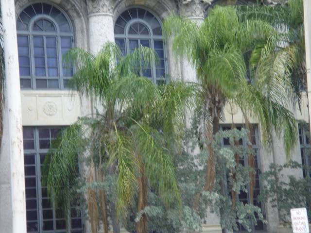 fotos009.jpg